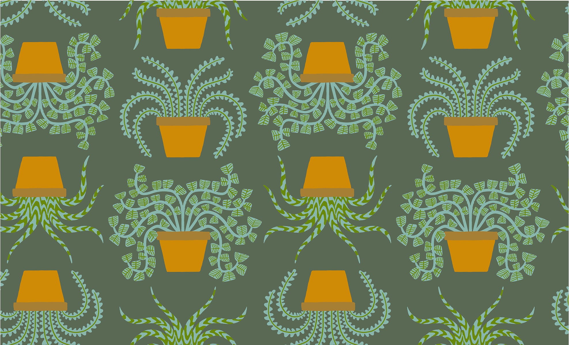 PREORDER Calathea Planties Novelty Pots Houseplant Seaweed