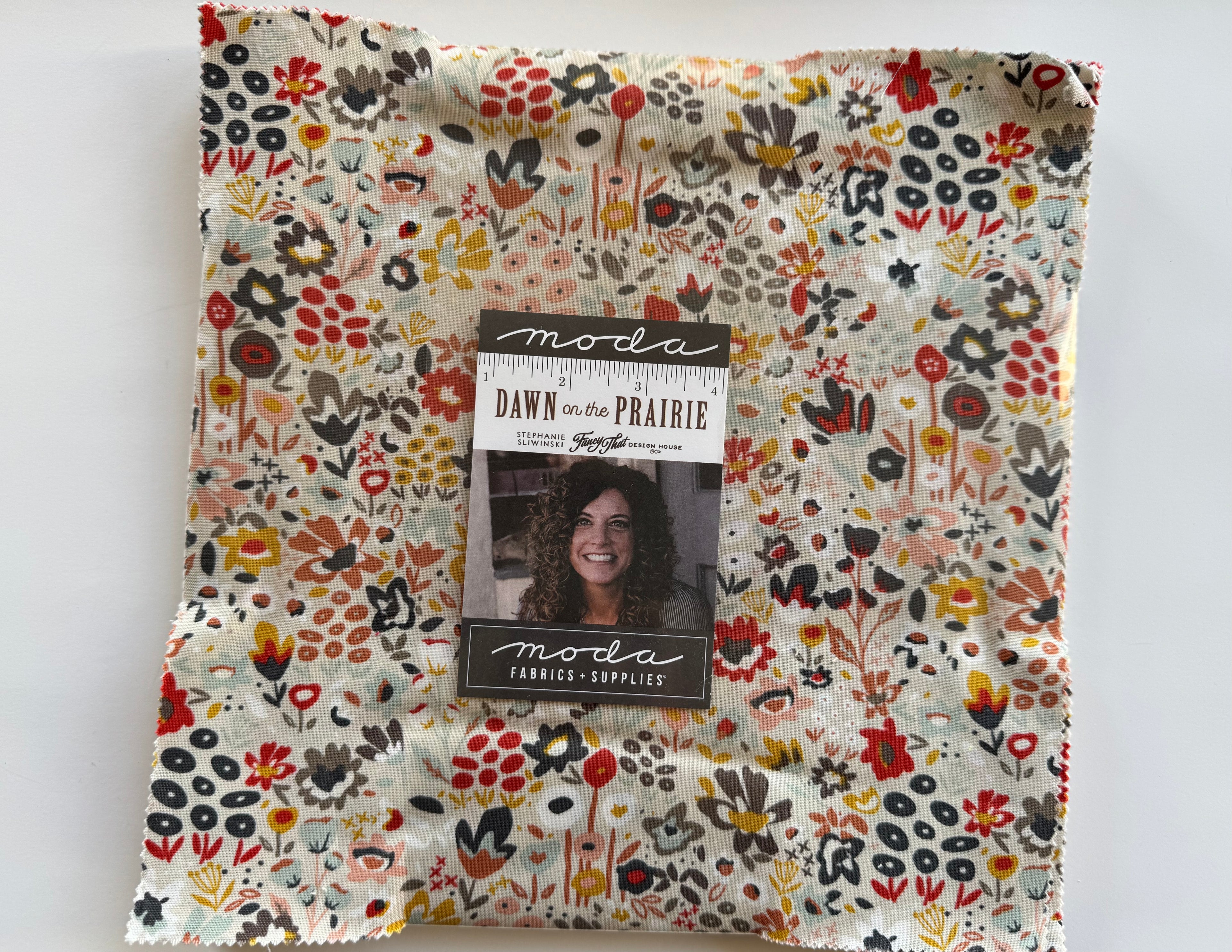 Moda Dawn on the Prairie Layer Cake - 10” Squares by Fancy That Design House