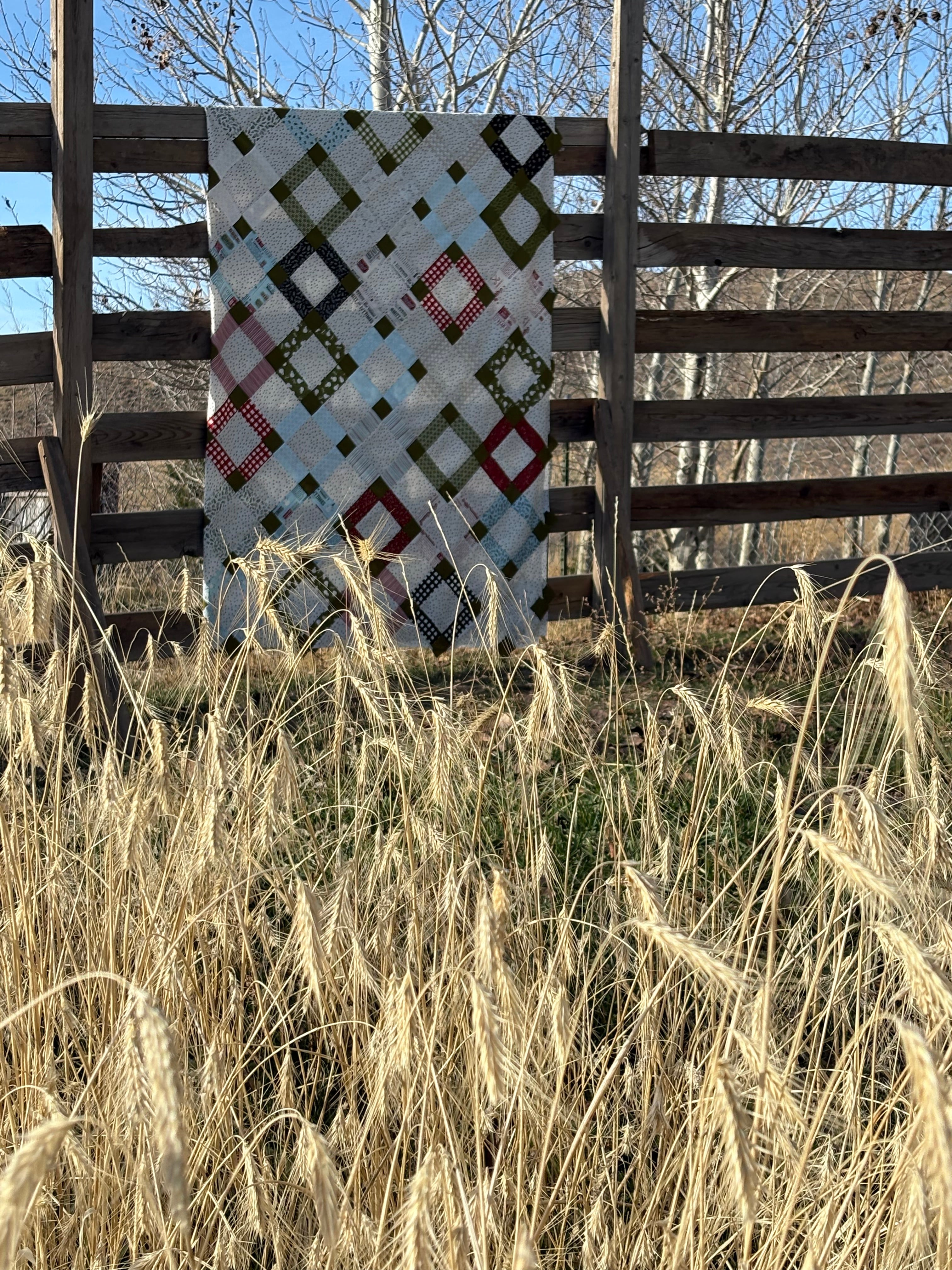 Ivy Quilt Kit - Twin (~73”x92”) | Emmitt & Ivy Jelly Roll + Mini Starry Background