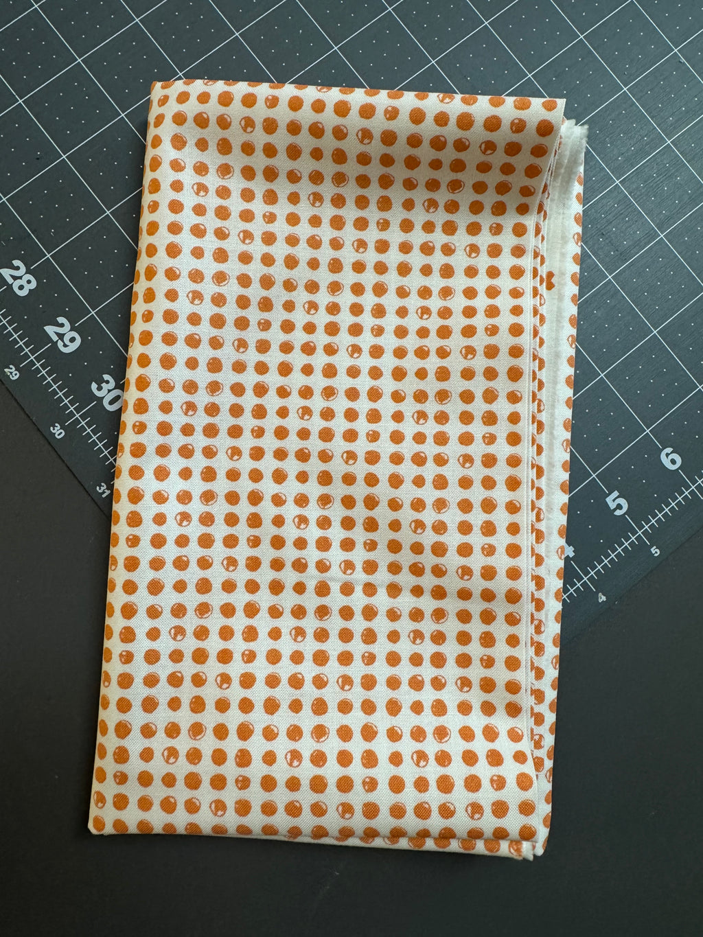 Sweetwater Late October Panel Bundle- OOP Halloween Panel + 1 Yard Orange Dot (Moda Fabrics)