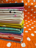 Playful Ghost Party Quilt Kit- Bright Rainbow Palette for Woolly Petals Pattern