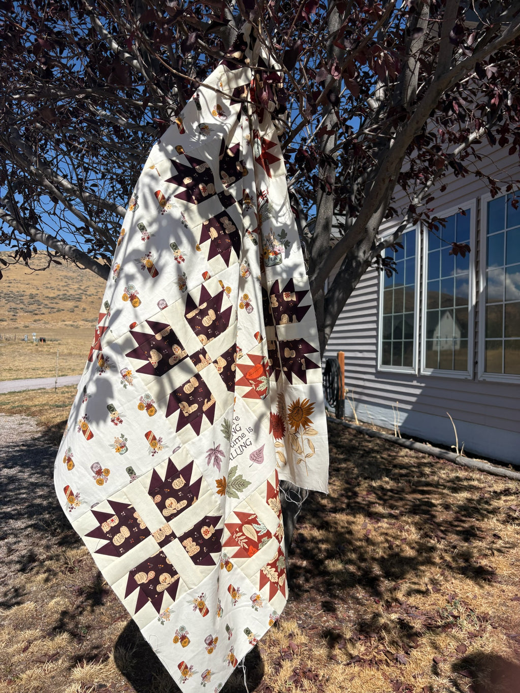 Windfall Bear Paw Quilt Kit - Throw Size| Fancy That Design House | SEW and Company
