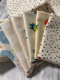 Curated Low Volume Novelty Stash Builder - Ruby Star Society | (6 FQs)