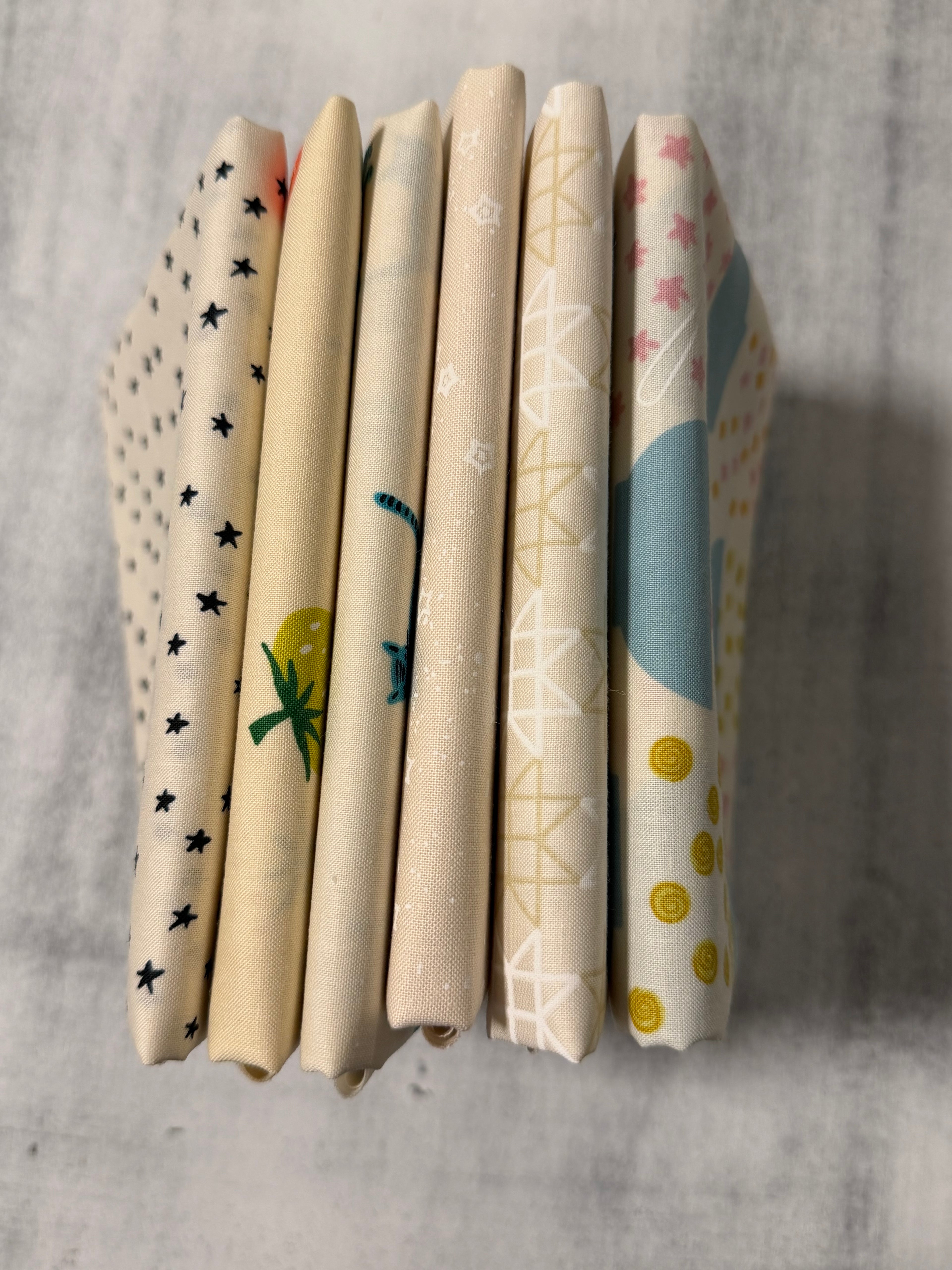 Curated Low Volume Novelty Stash Builder - Ruby Star Society | (6 FQs)
