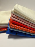 Miss Americana Fat Quarter Bundle | Ruby Star Society (8FQ)