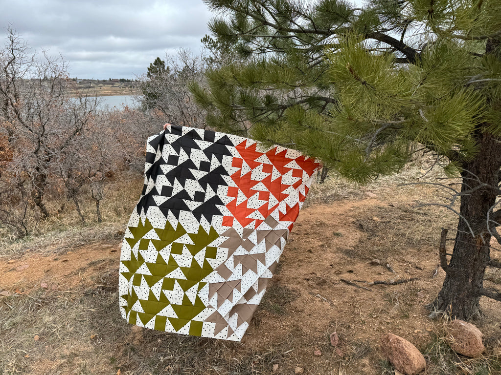 First Born Quilt Kit – Modern Throw Quilt with Moda and Ruby Star Society Fabrics
