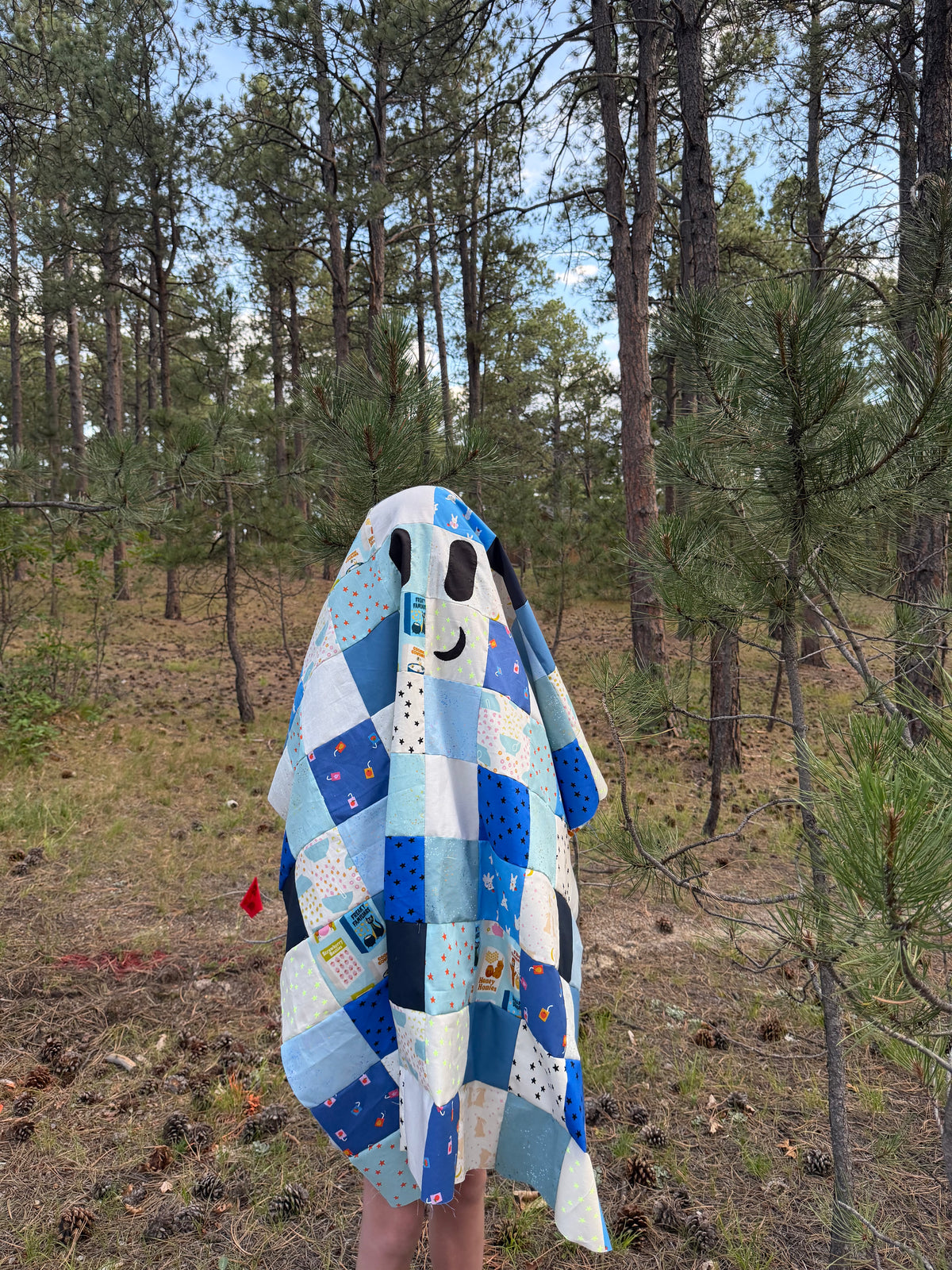 Little Ghost Who was a Quilt Kit - Fabric Roll | Inspired by the Children’s book