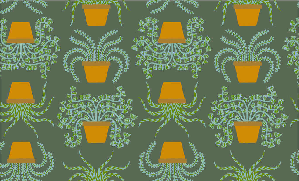 PREORDER Calathea Planties Novelty Pots Houseplant Seaweed