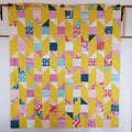 Papercuts 2 Board and Batten Quilt Kit - Throw Size